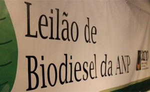 Leilao de Biodiesel