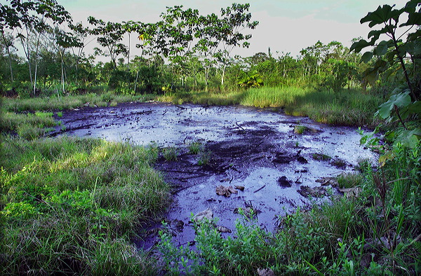 Uma das áreas na floresta equatoriana em que a Texaco deixou resíduos de petróleo