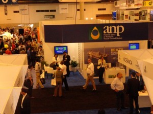 O Stand da ANP, muito visitado