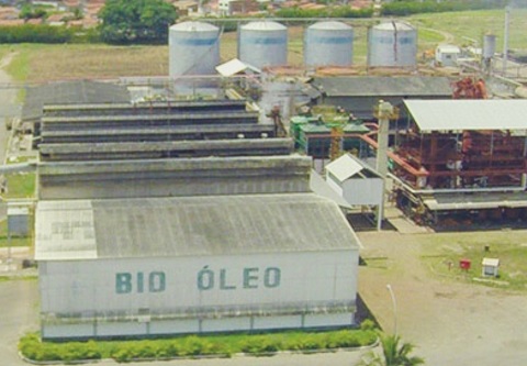 Bio Oleo