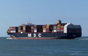 MSC NITYA B foto divulgação 3