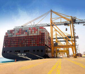 msc-mina-container-ship-the-maritime-economy-publications