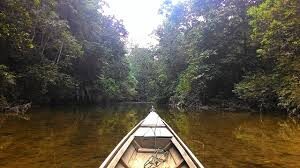 sungai