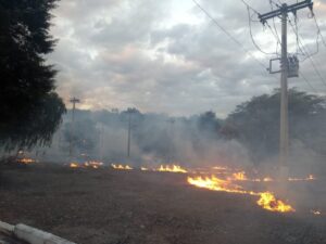 INCENDIOI