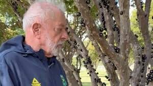 Lula oferece Jabuticaba para Trump com uma atitute de provocação sarcástica e juvenil 