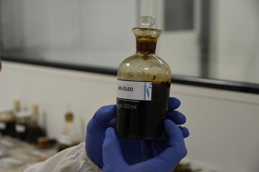 Macrofuel 3-ISI biomassa_Divulgação