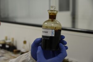 Macrofuel 3-ISI biomassa_Divulgação