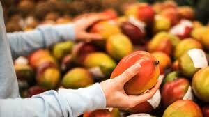 amzul alimentos