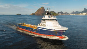 Posidonia Lion