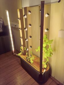 WhatsApp-Image-2024-11-26-at-16.11.35-1