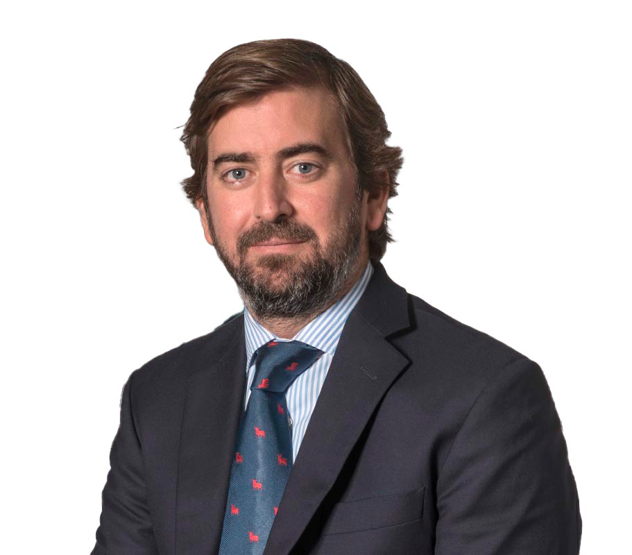 francisco-gea-cv-blanco