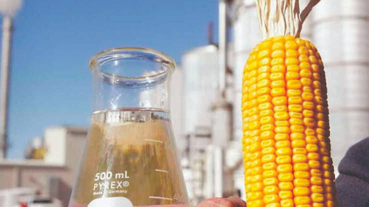 A PRODUÇÃO DE ETANOL DE MILHO E DE SORGO CRESCE NO MARANHÃO, TOCANTINS, PIAUÍ E BAHIA E FORMAM O CINTURÃO MATOPIBA